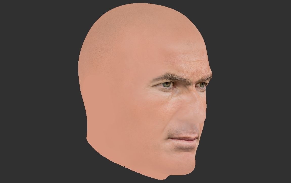 Zinedine Zidane 3D model_18