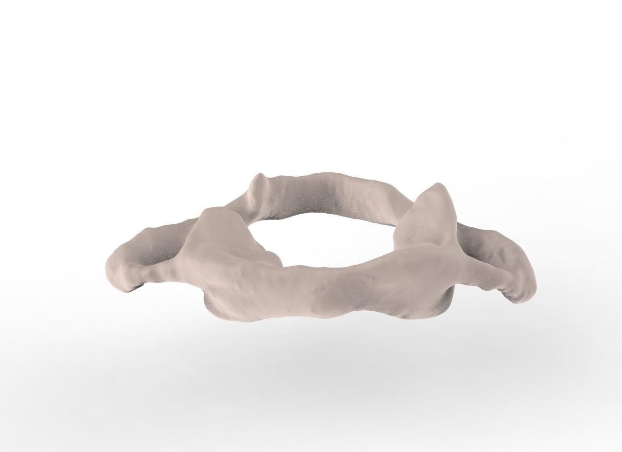 Cervical Spine C1-C5  3D print model_8