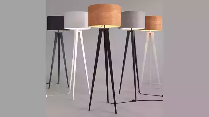 Zuiver floor lamp tripod 3D model