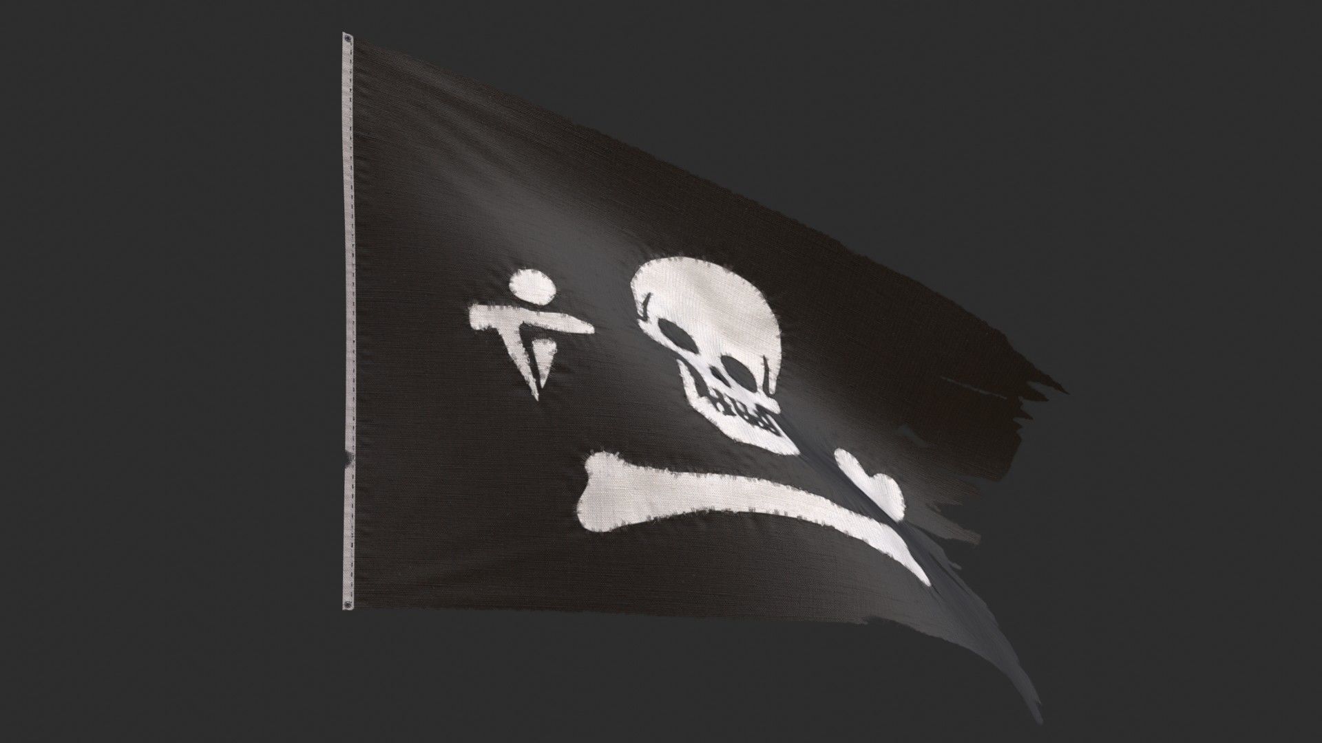 Pirates Flags Collection _36