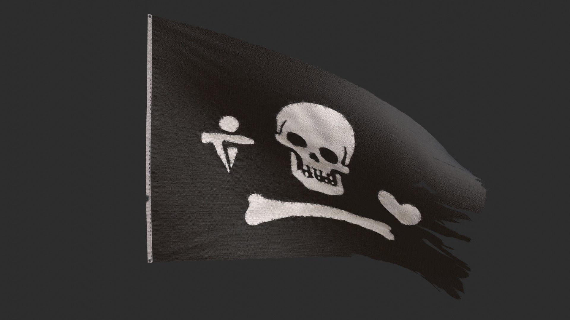 Pirates Flags Collection _34