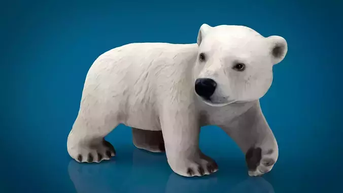 POLAR BEAR BABE Low-poly 3D model