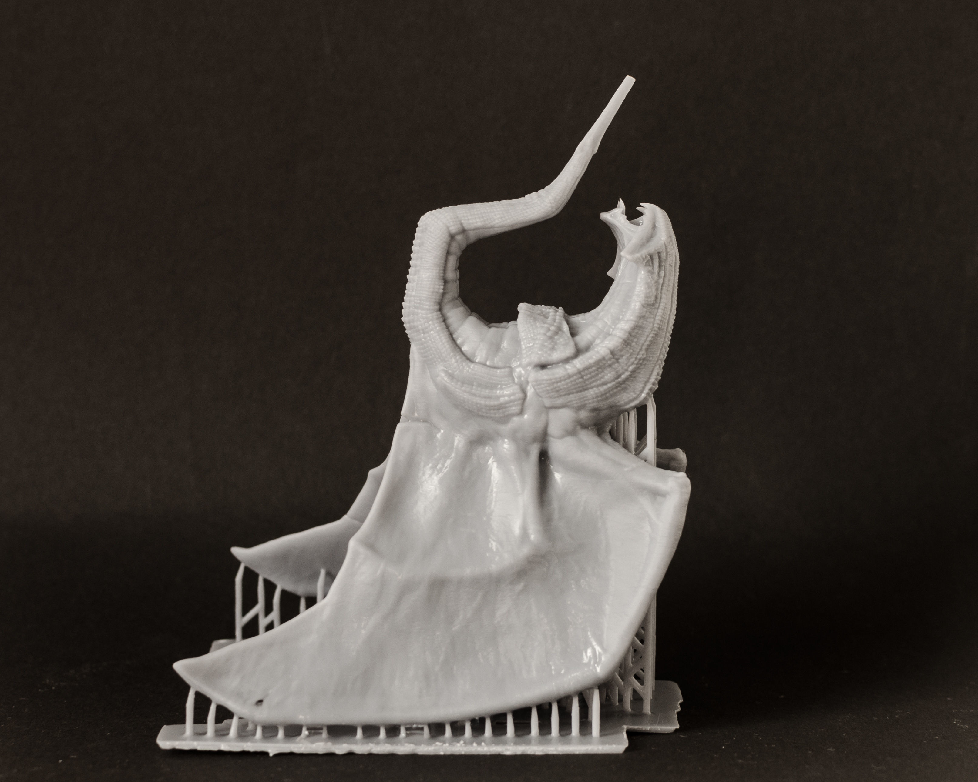 VAMPIRE DRAGON 3D print model_9