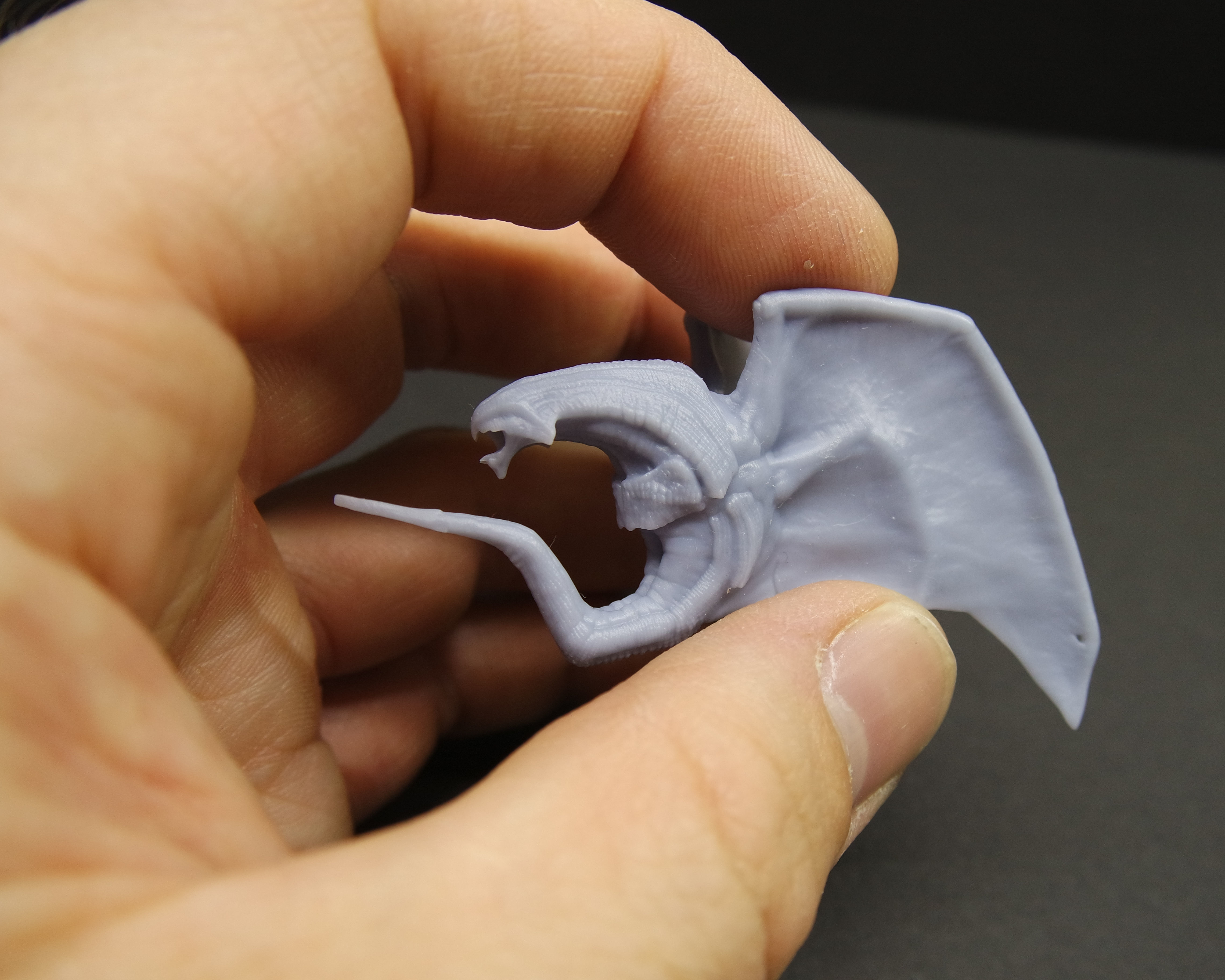 VAMPIRE DRAGON 3D print model_7