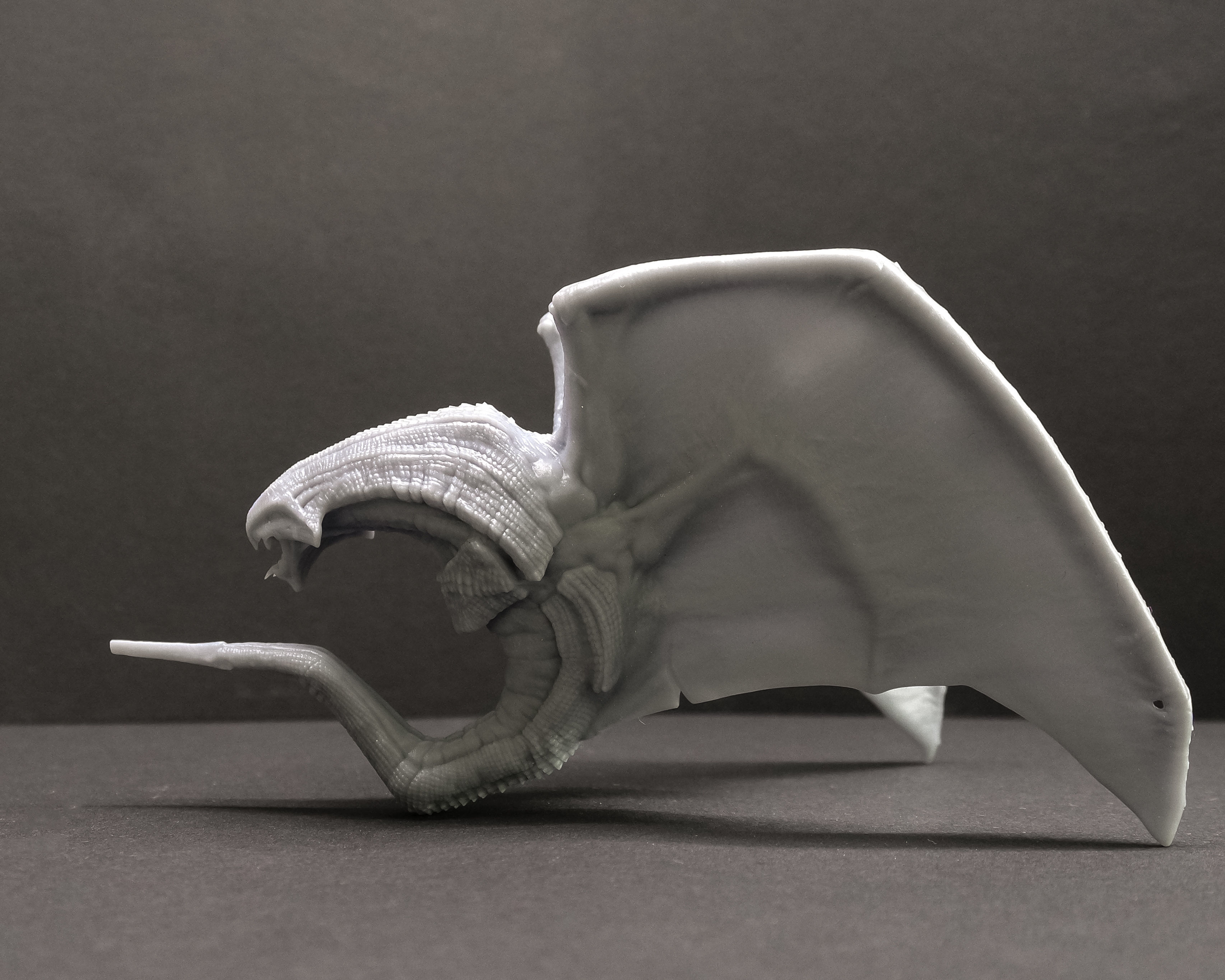 VAMPIRE DRAGON 3D print model_3