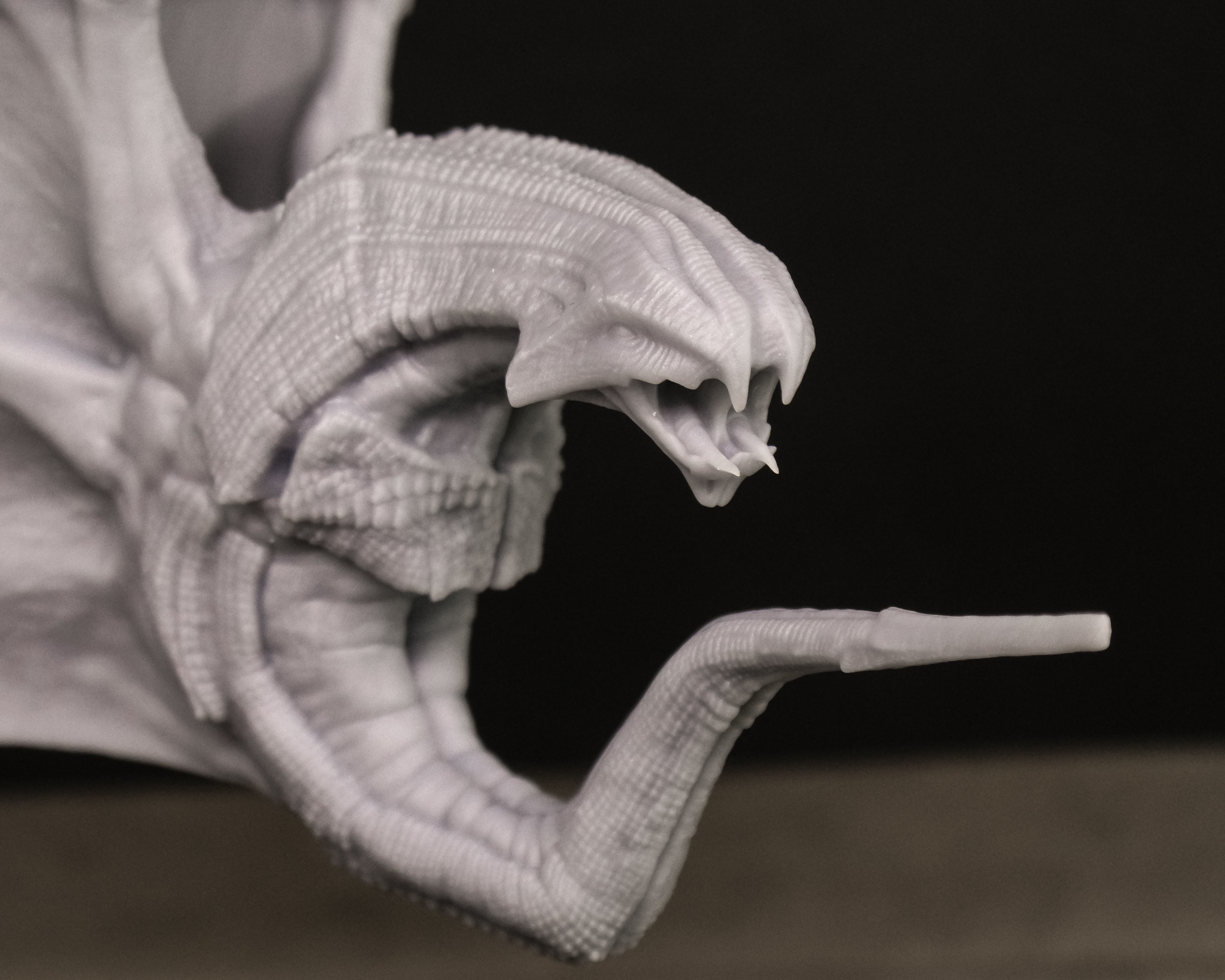 VAMPIRE DRAGON 3D print model_6