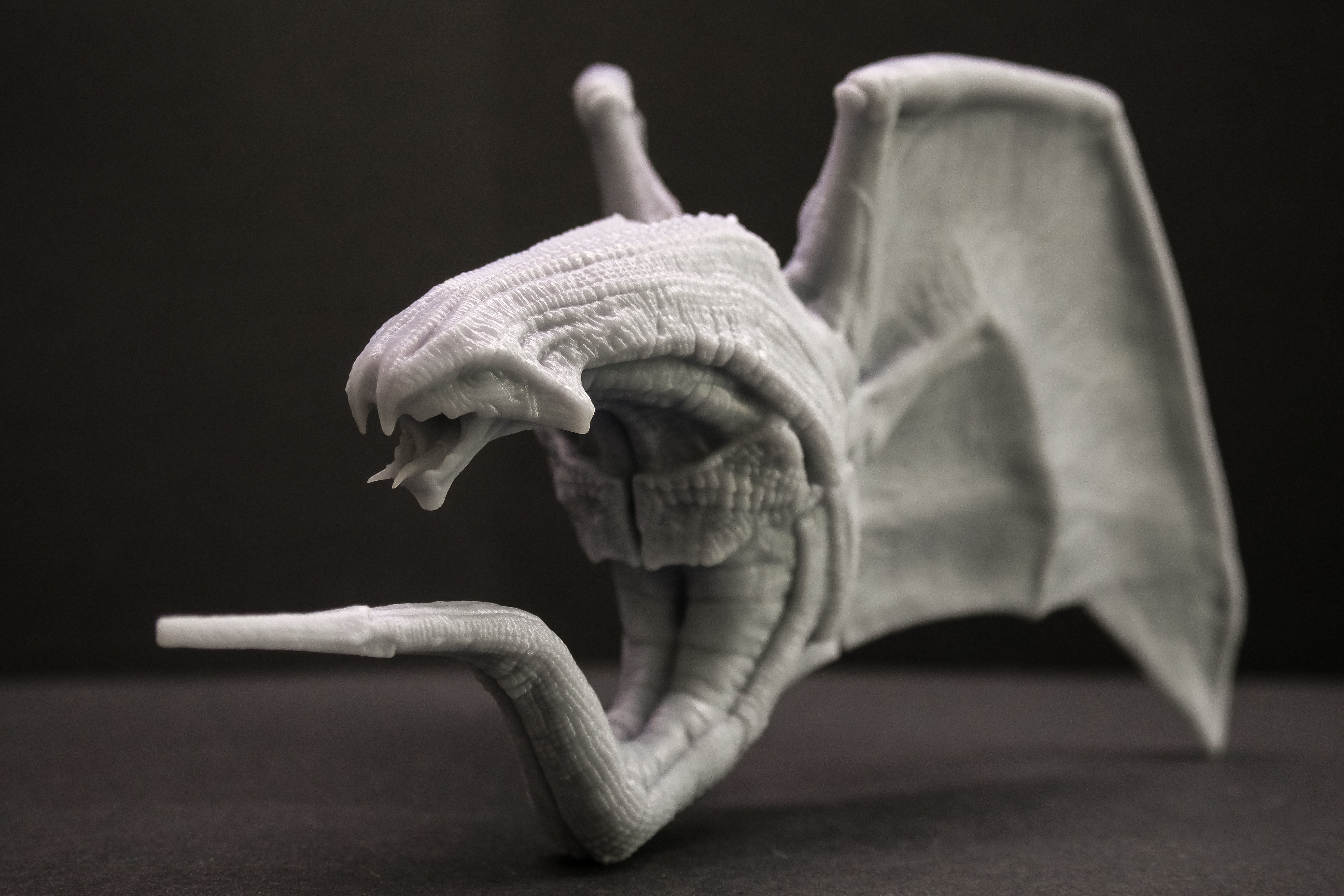 VAMPIRE DRAGON 3D print model_4