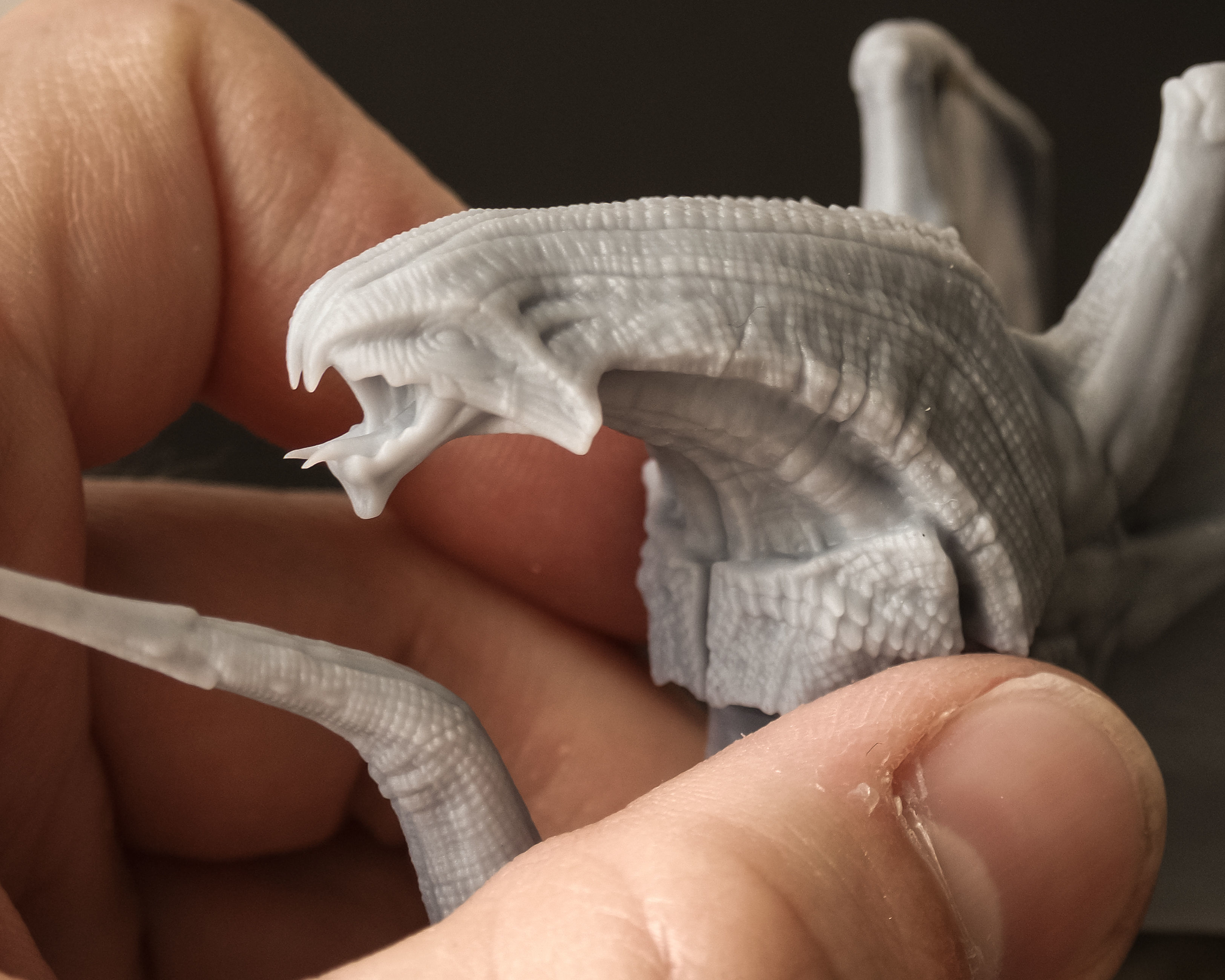 VAMPIRE DRAGON 3D print model_5
