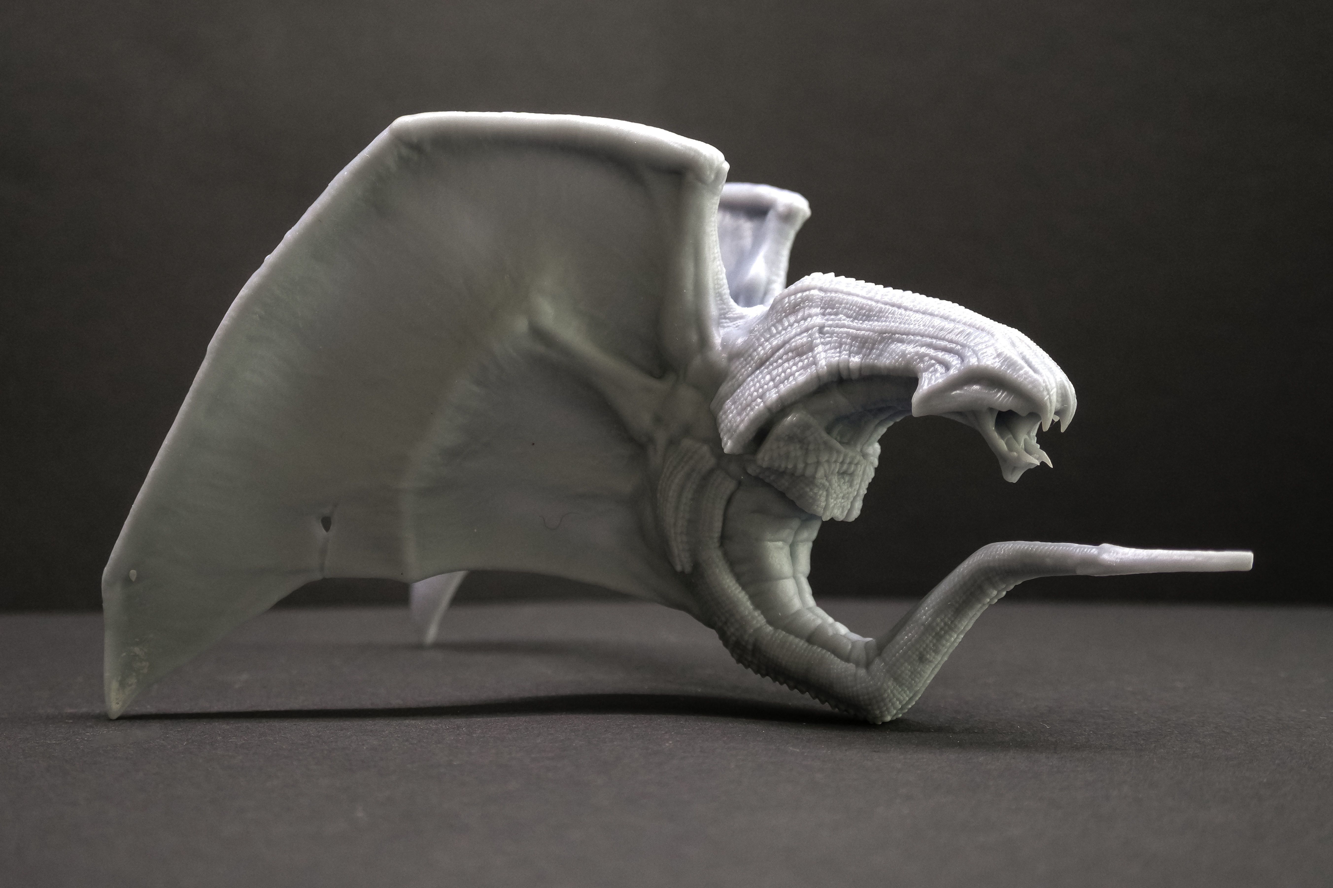 VAMPIRE DRAGON 3D print model_2