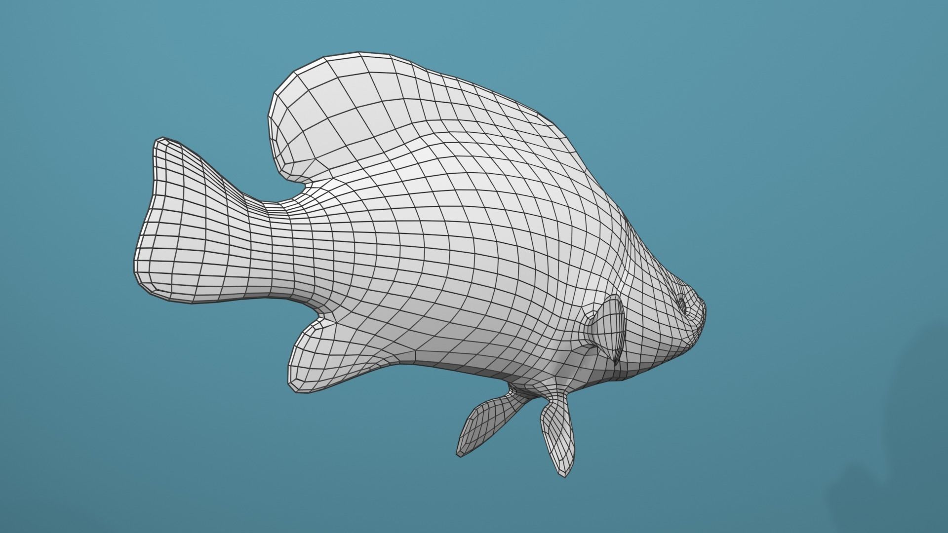Humpback Grouper Low-poly 3D model_6