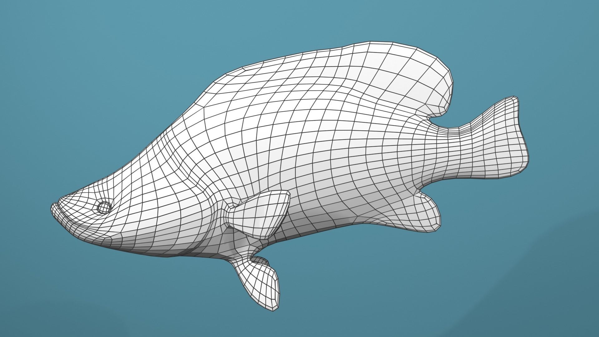 Humpback Grouper Low-poly 3D model_18