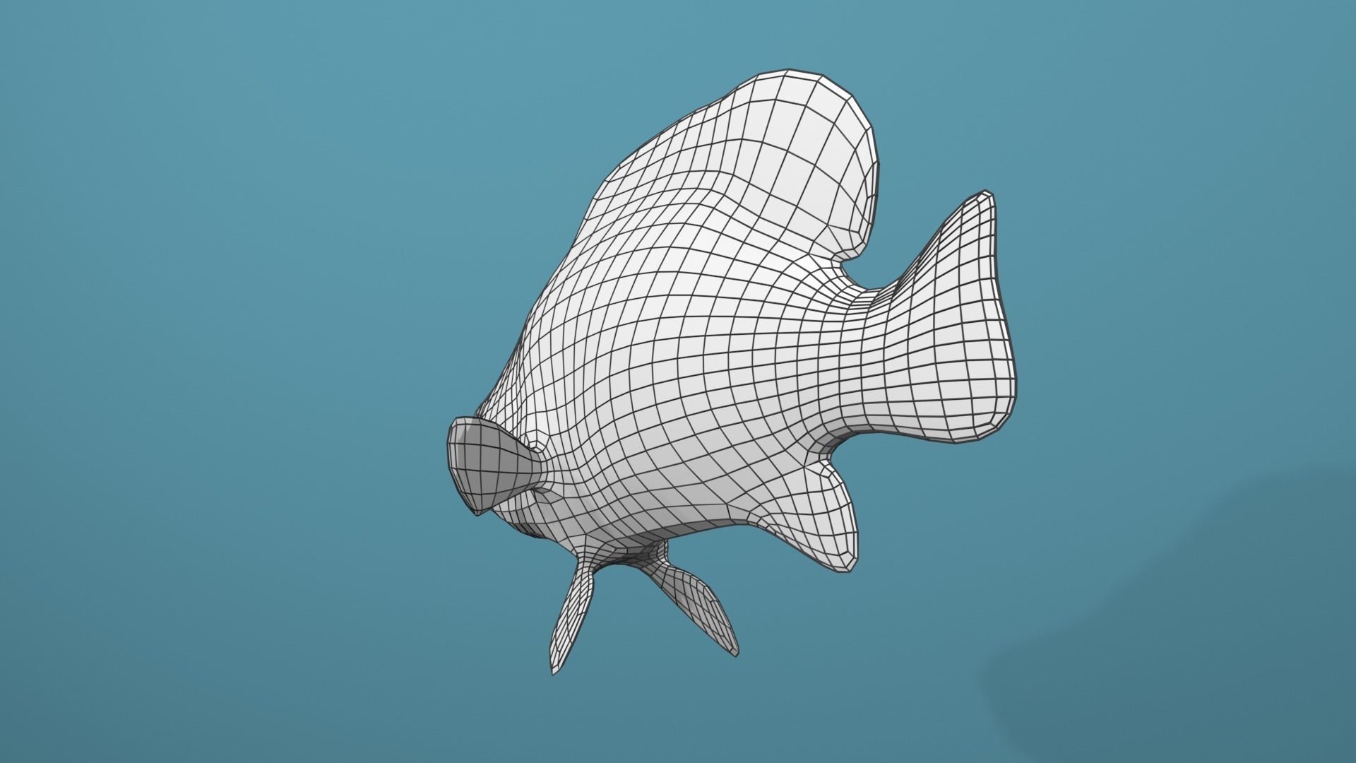 Humpback Grouper Low-poly 3D model_12