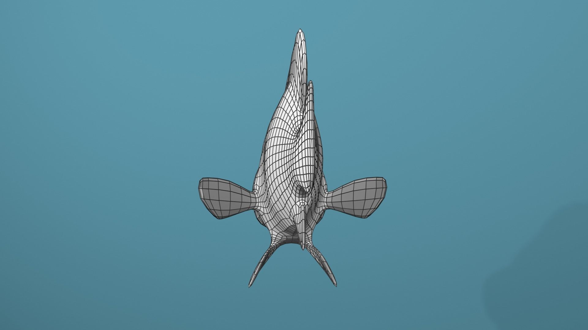 Humpback Grouper Low-poly 3D model_10