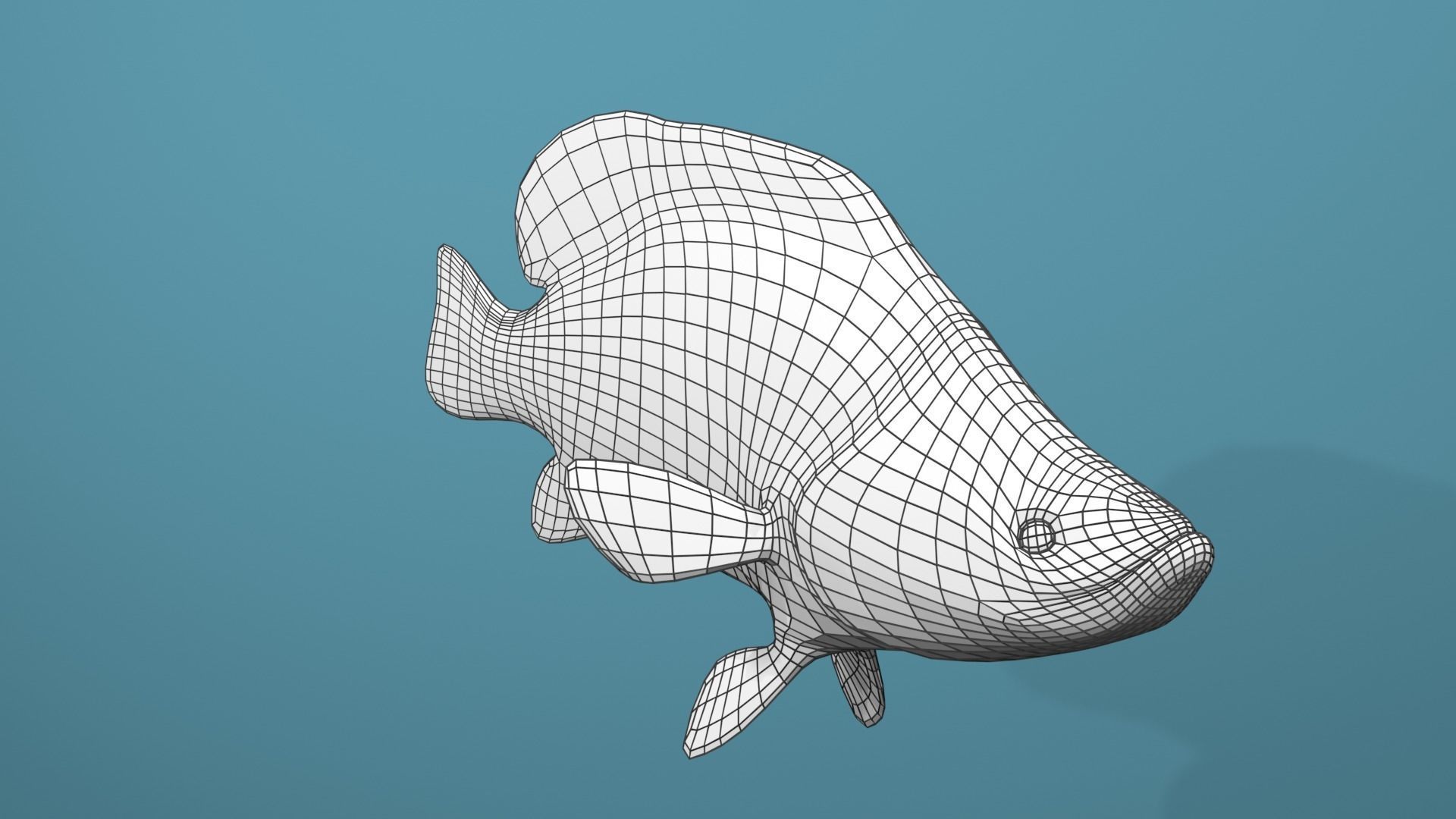 Humpback Grouper Low-poly 3D model_28