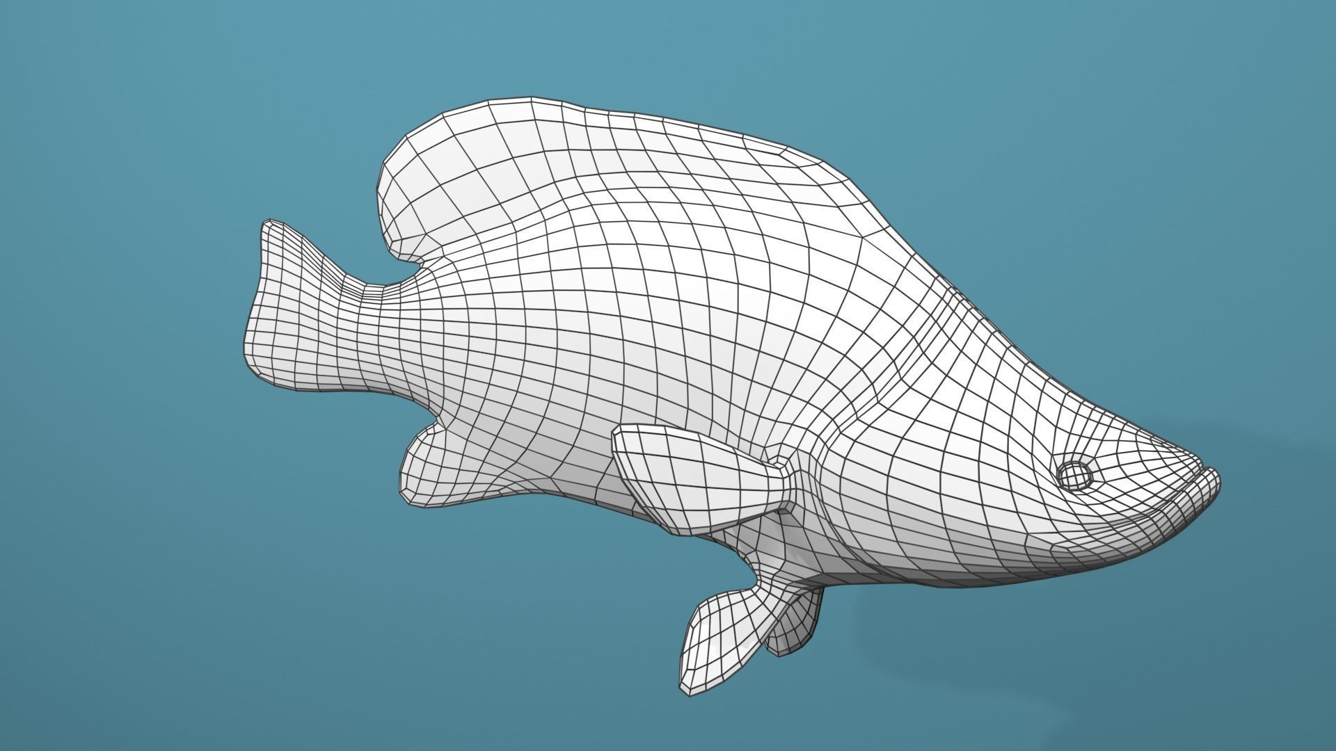Humpback Grouper Low-poly 3D model_30