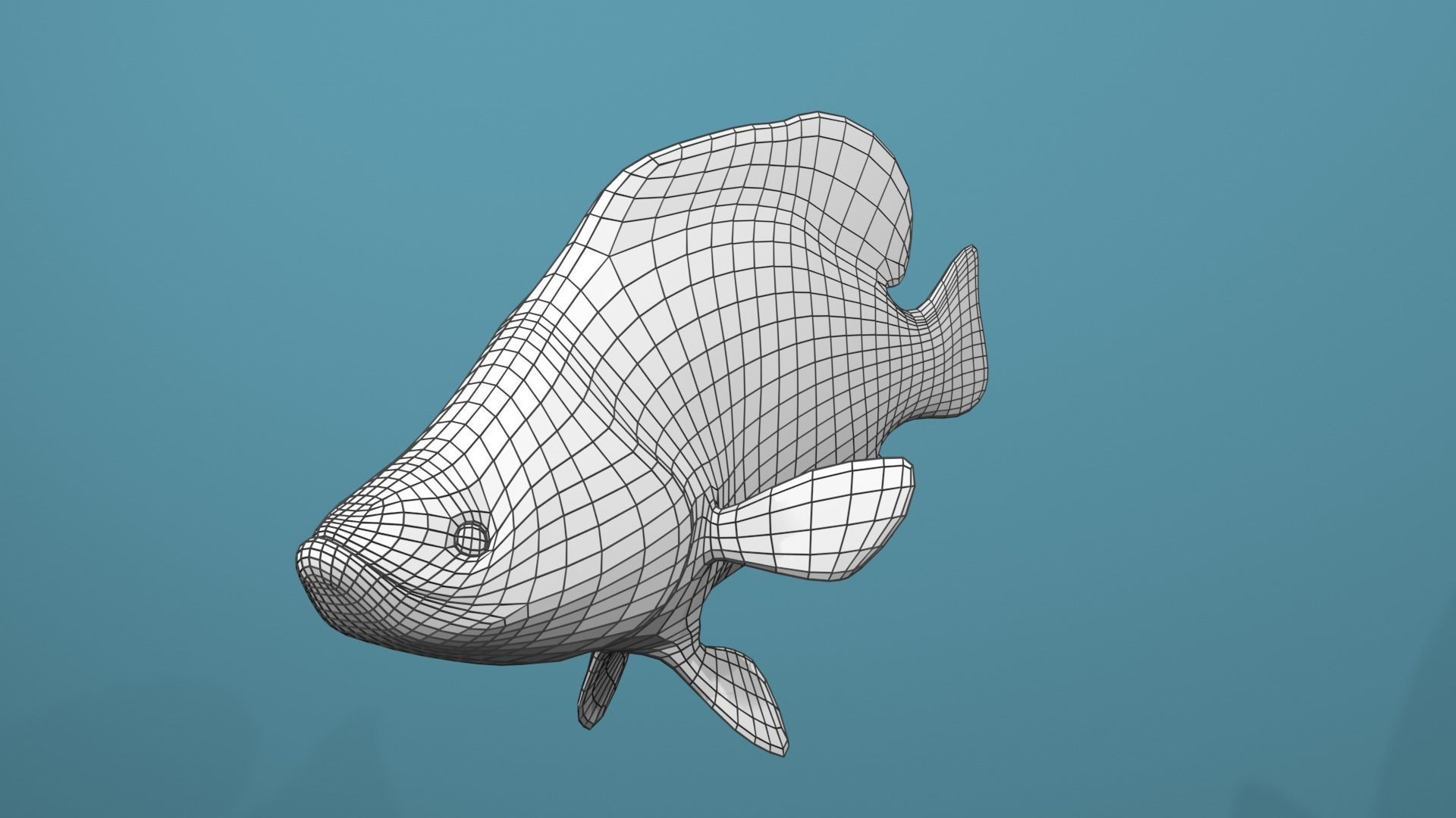 Humpback Grouper Low-poly 3D model_22