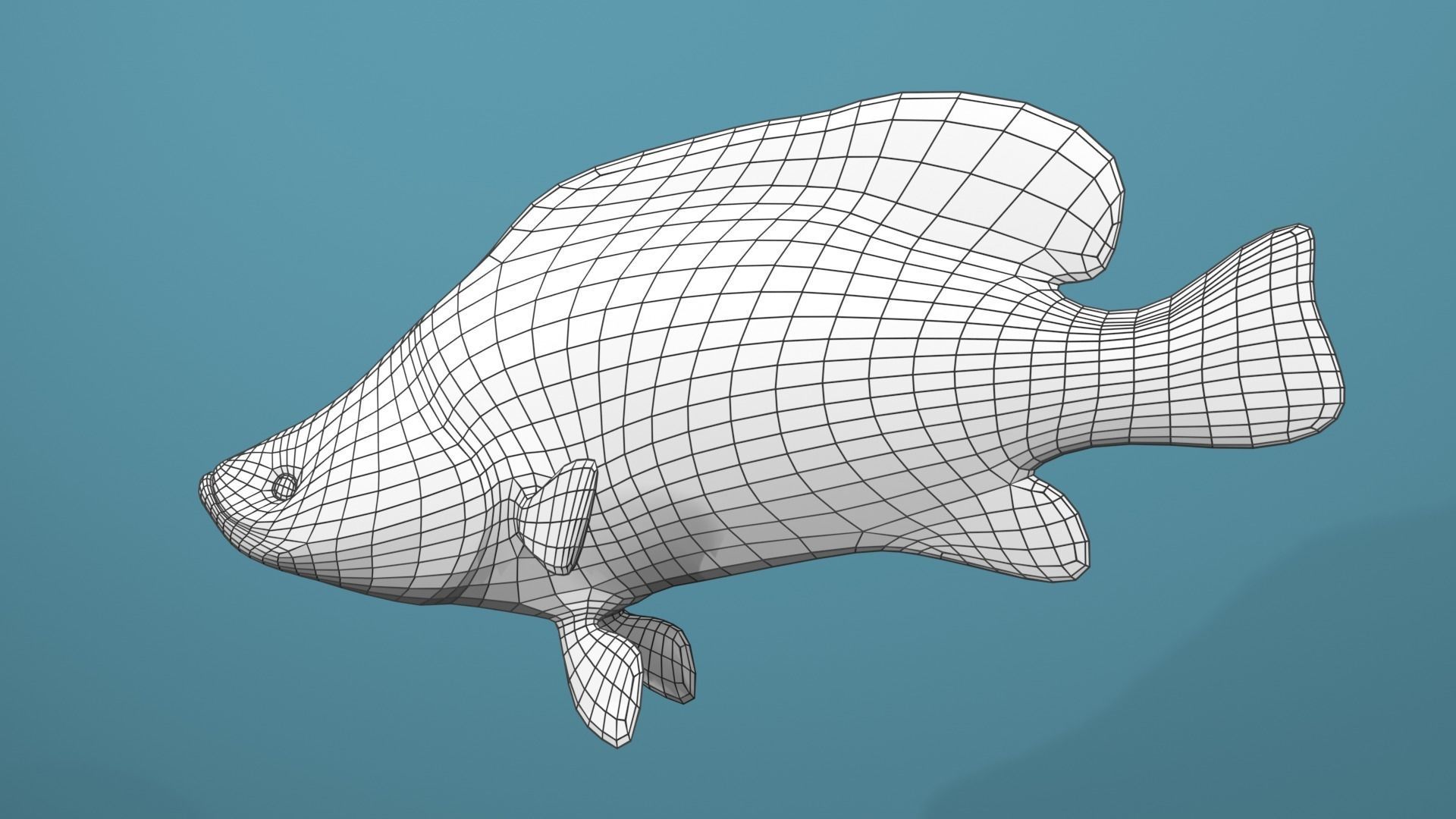 Humpback Grouper Low-poly 3D model_16