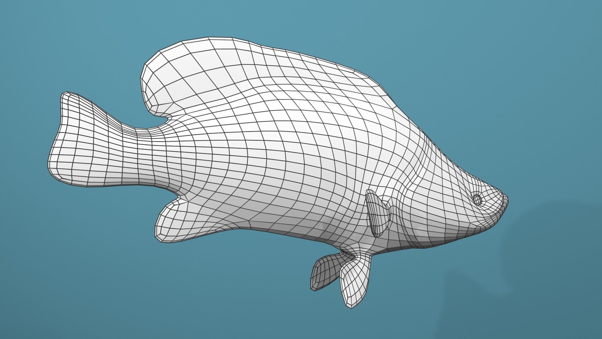 Humpback Grouper Low-poly 3D model_4