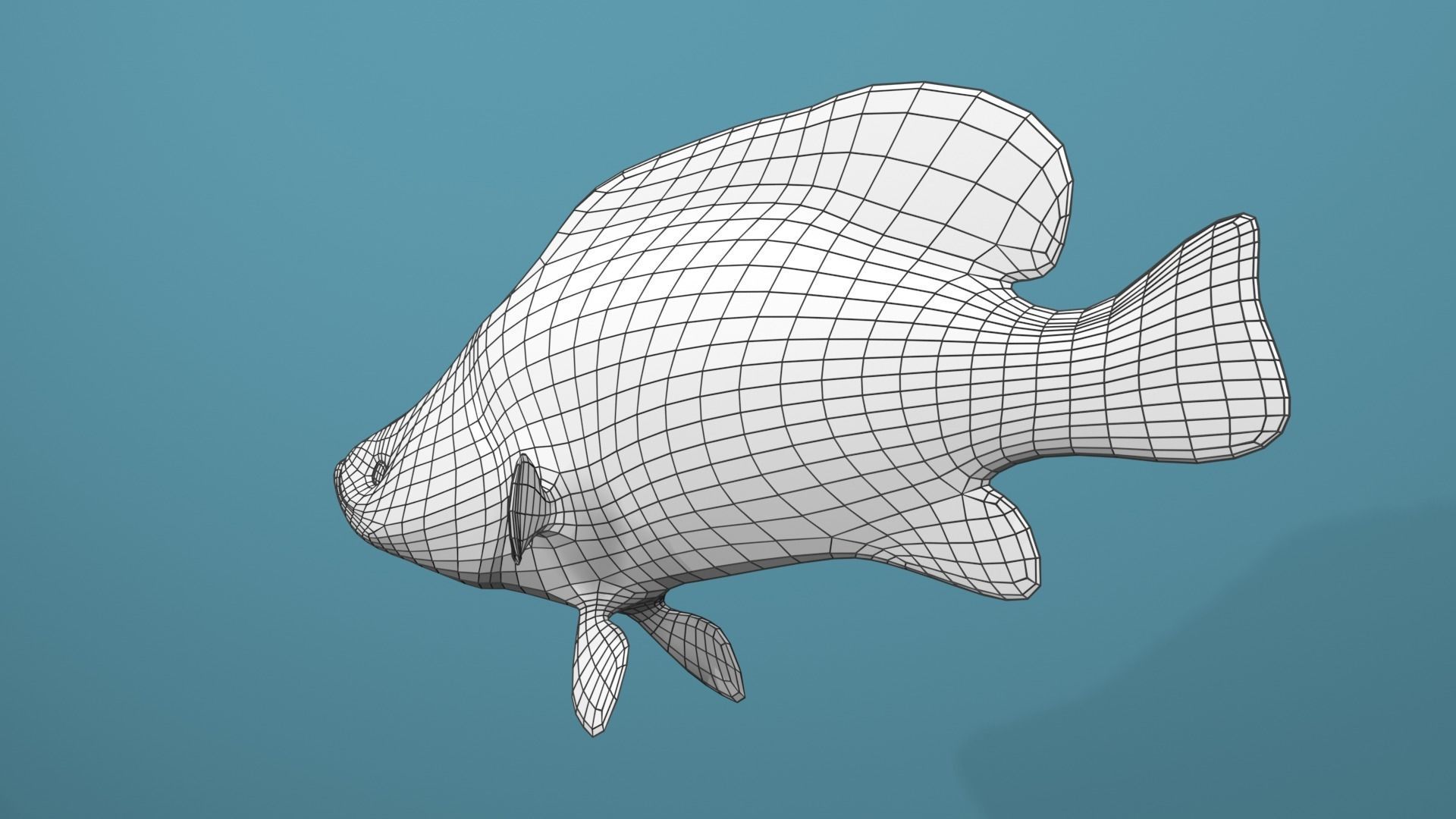 Humpback Grouper Low-poly 3D model_14