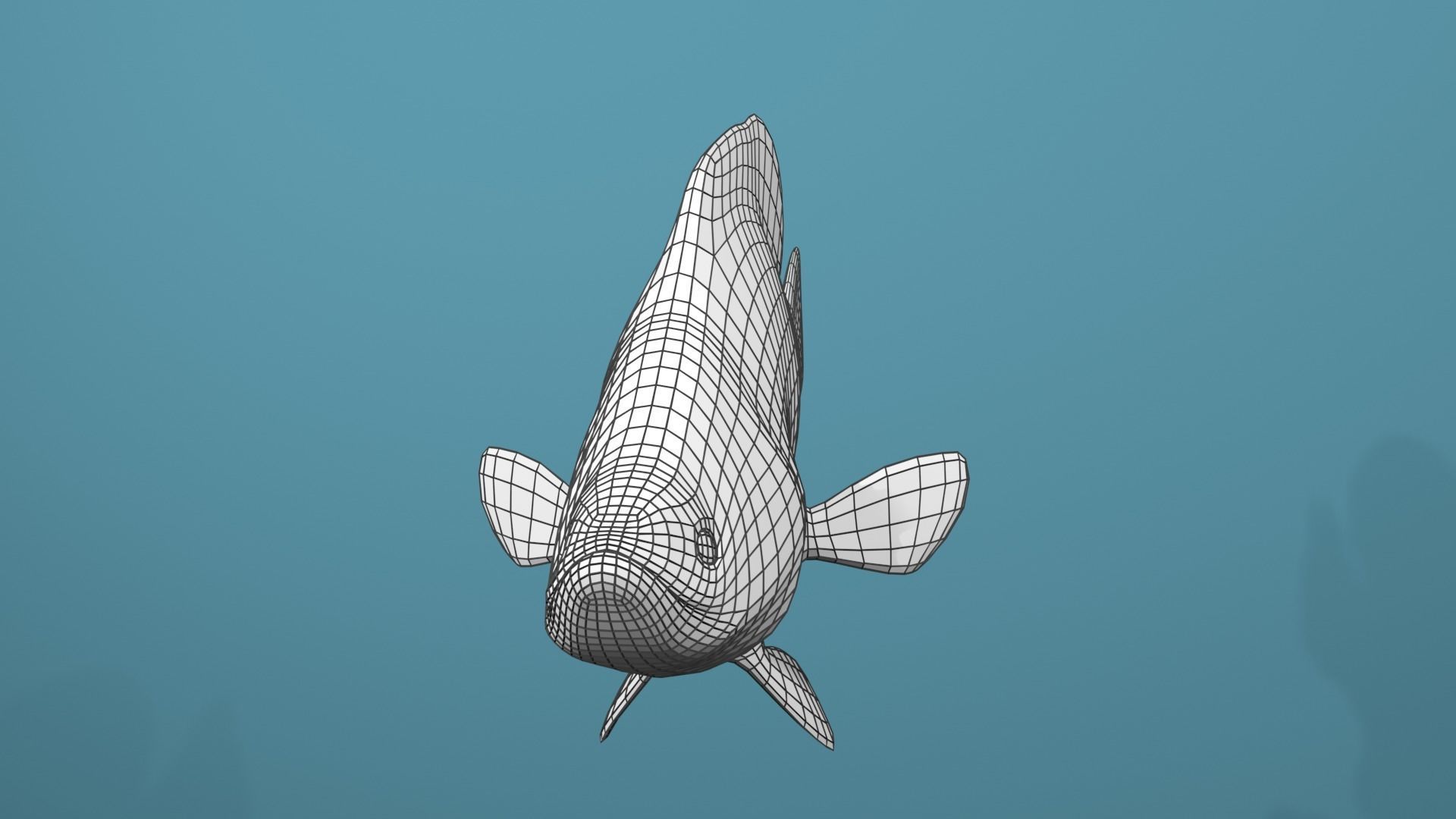 Humpback Grouper Low-poly 3D model_24