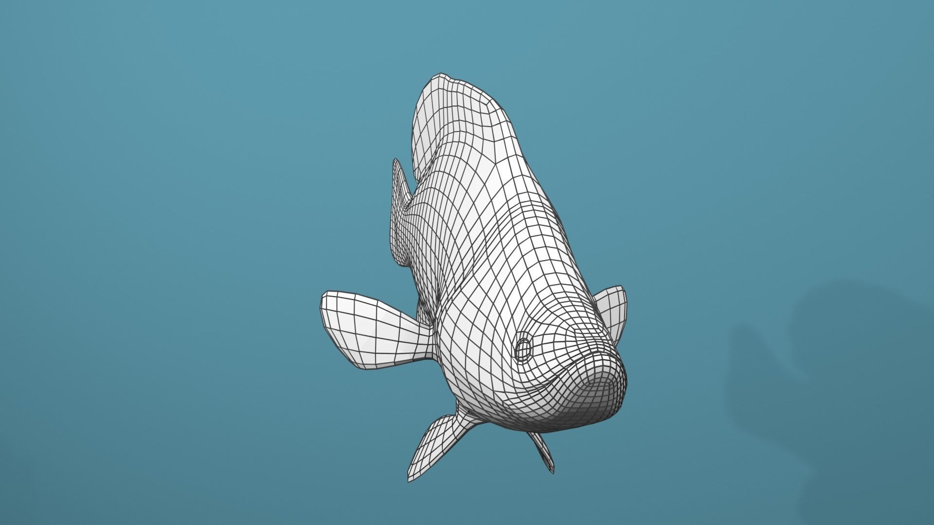 Humpback Grouper Low-poly 3D model_26