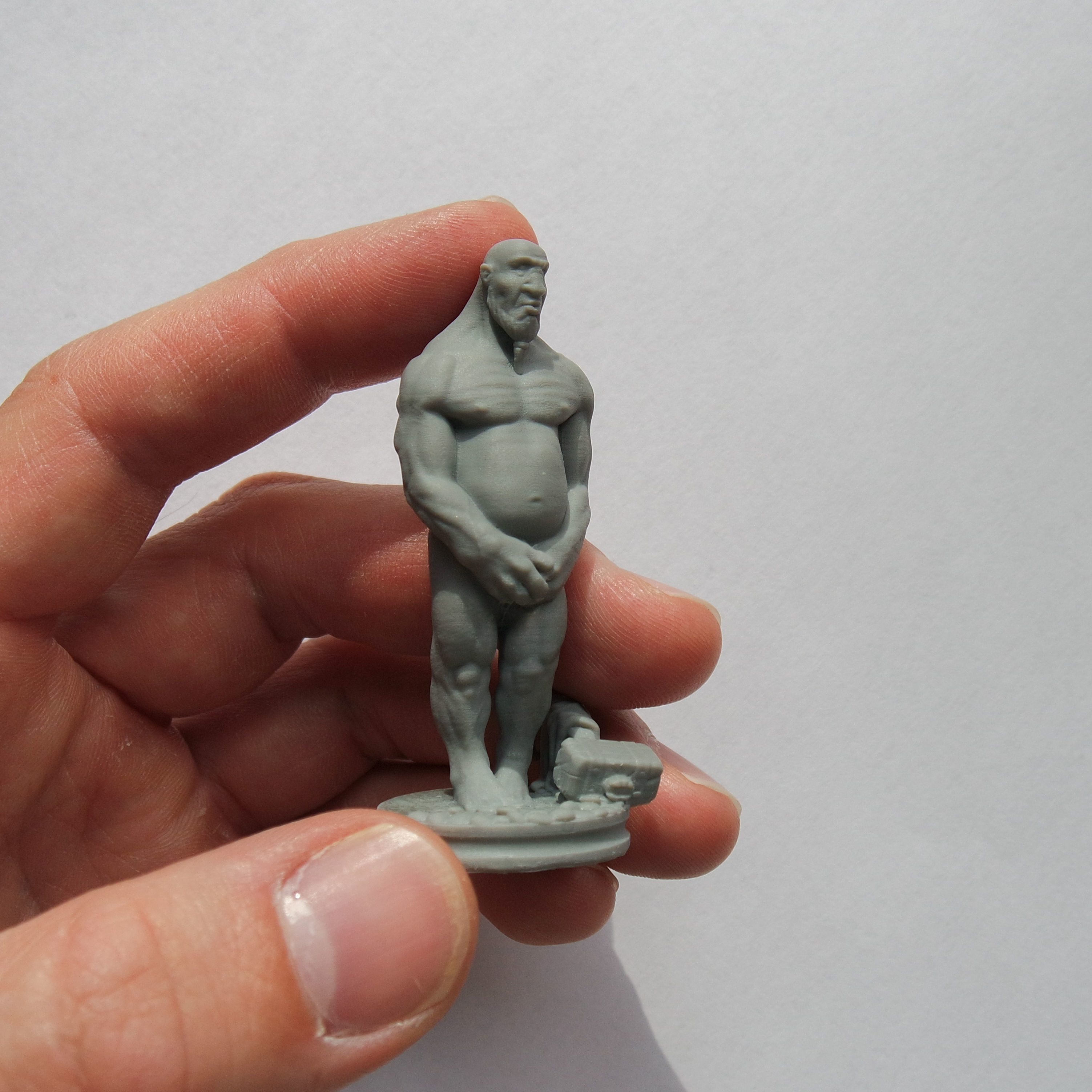 SHY GIANT 3D print model_9