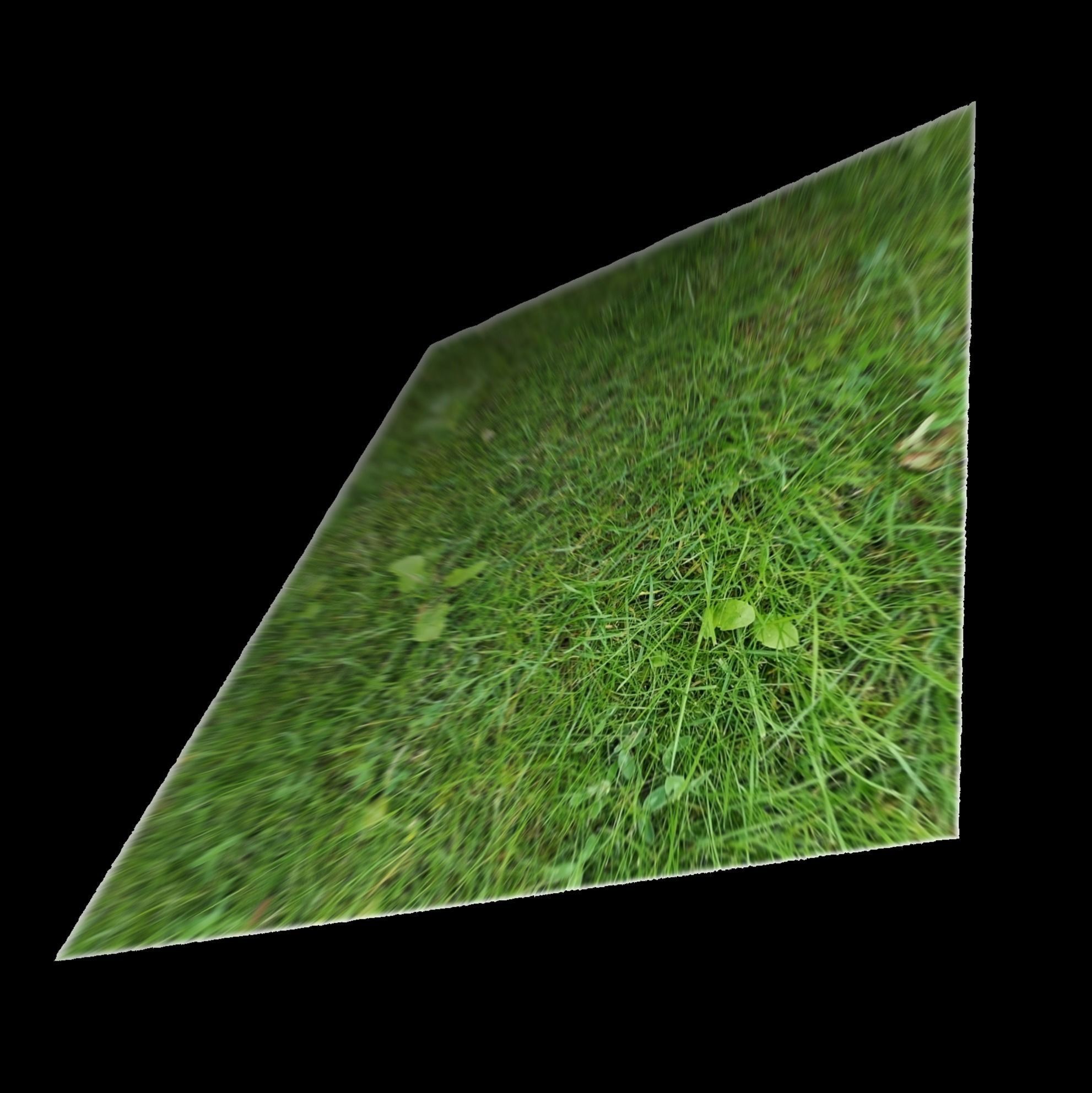 Seamless Grass Texture Texture_1