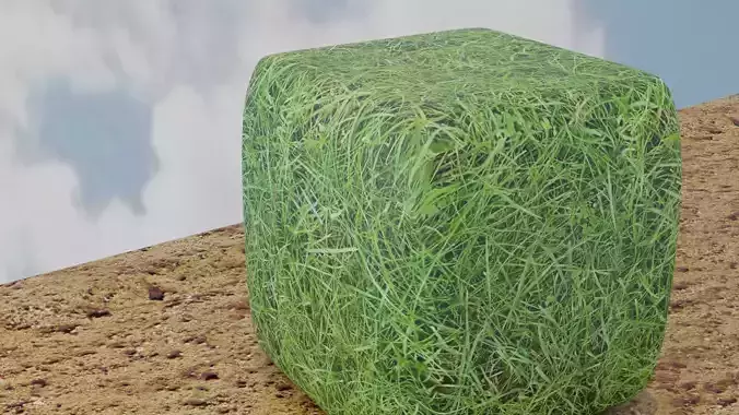 Seamless Grass Texture Texture