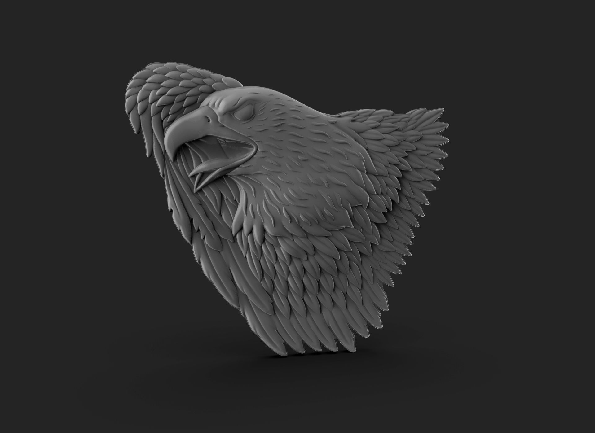 Eagle Bass Relief  3D print model_11
