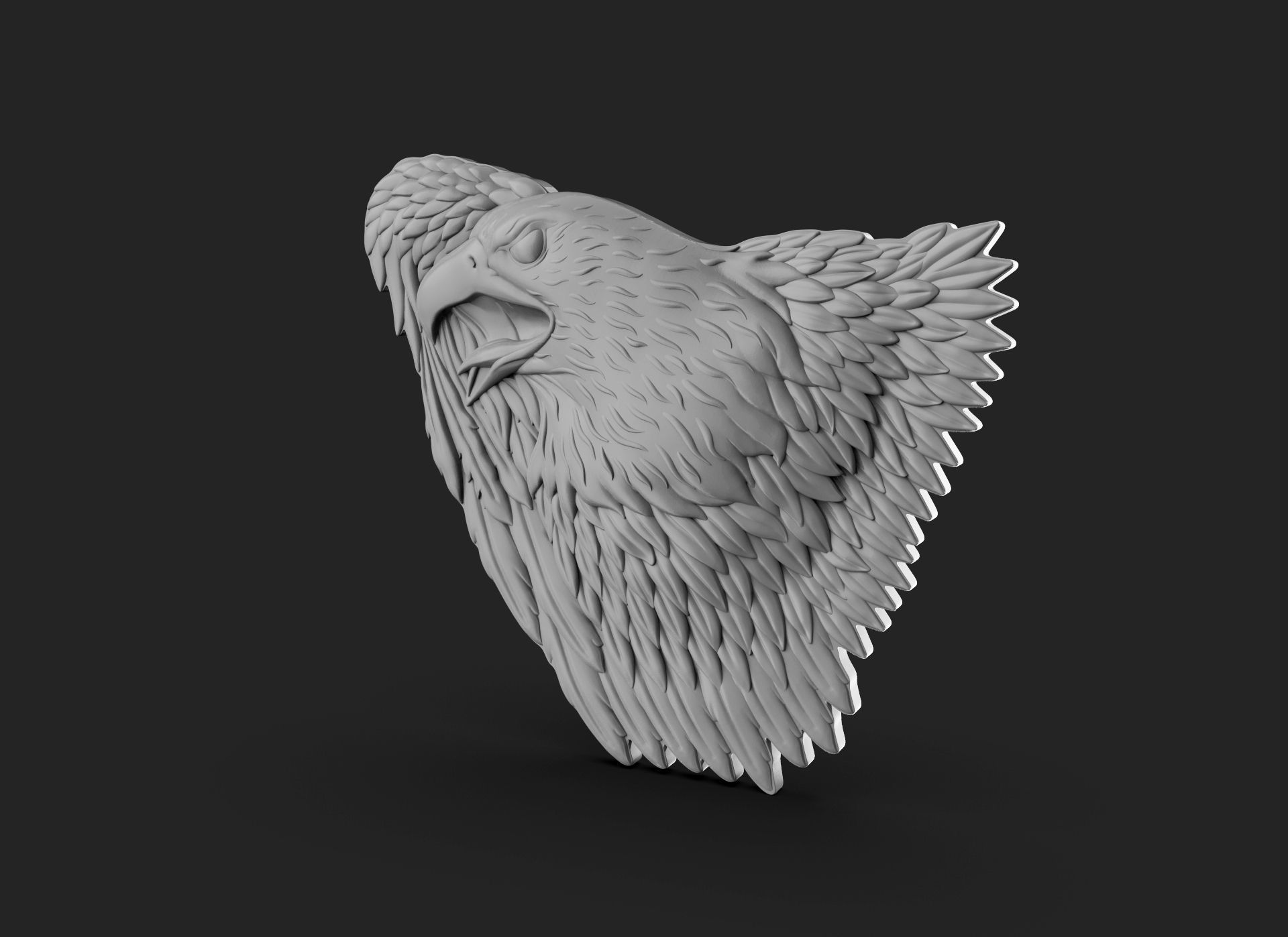 Eagle Bass Relief  3D print model_15