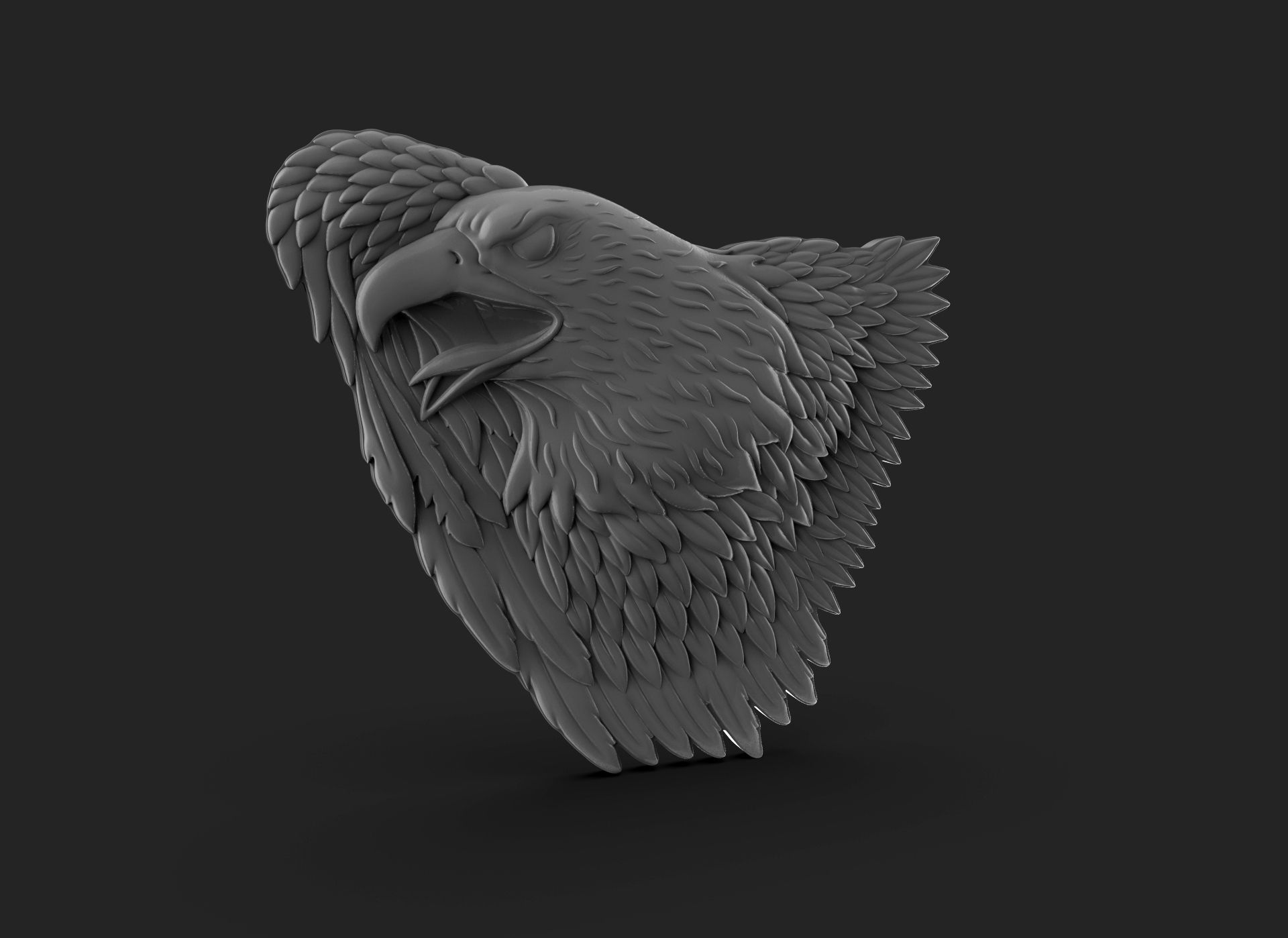 Eagle Bass Relief  3D print model_10