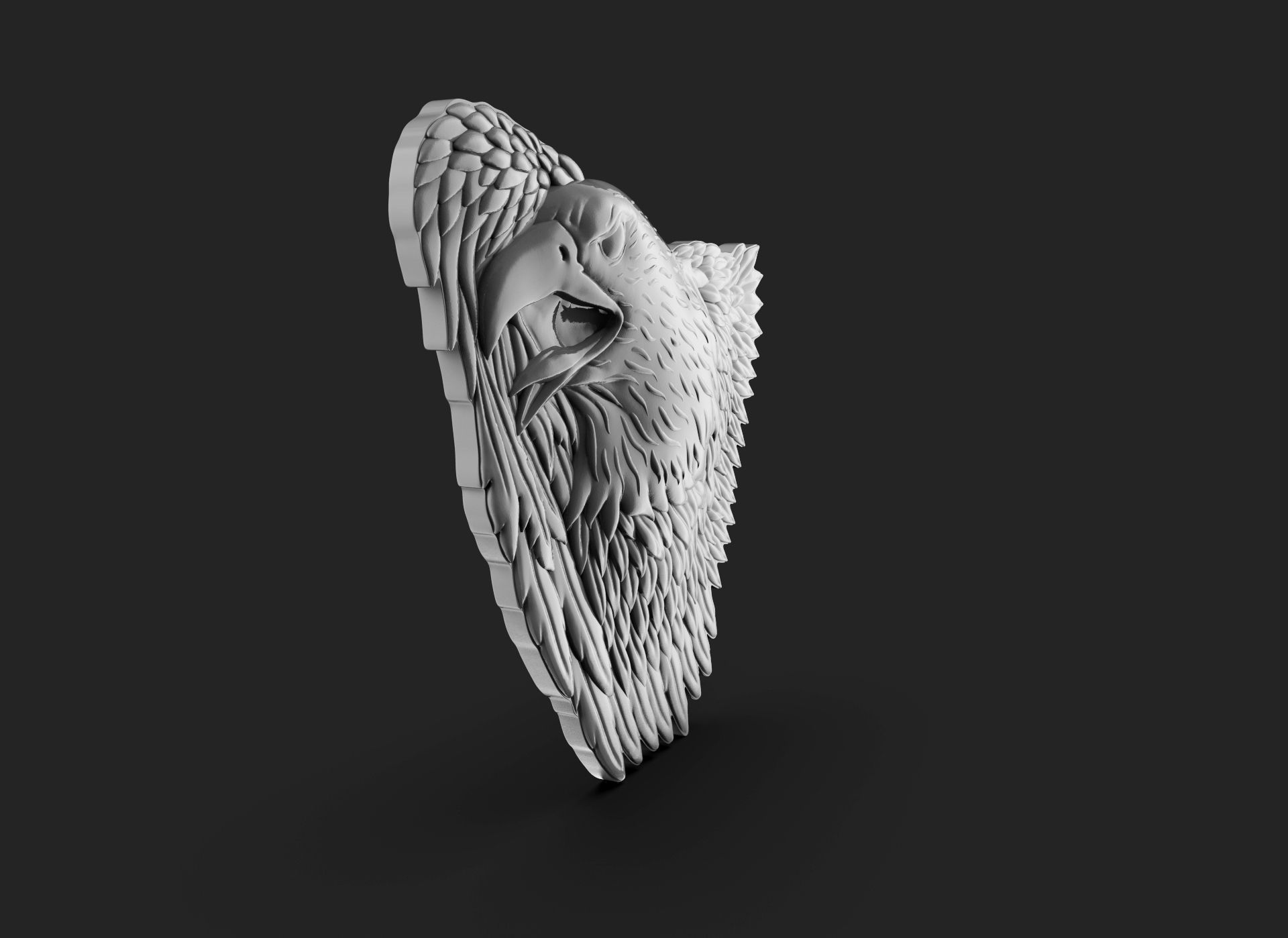 Eagle Bass Relief  3D print model_4
