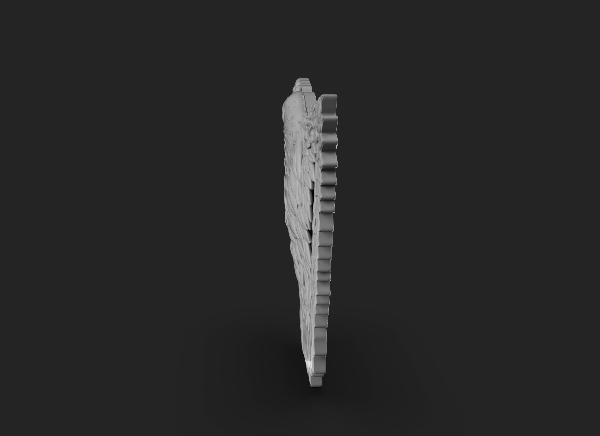 Eagle Bass Relief  3D print model_23