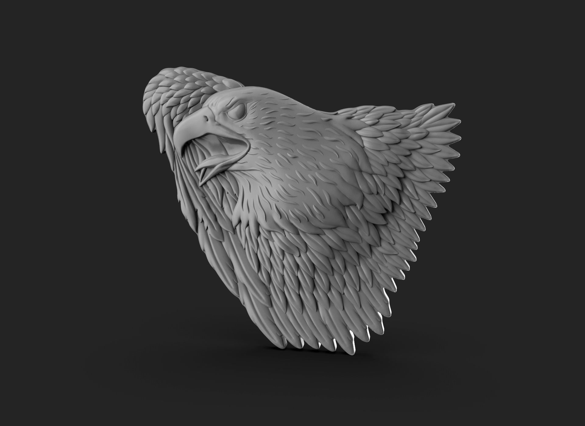 Eagle Bass Relief  3D print model_13
