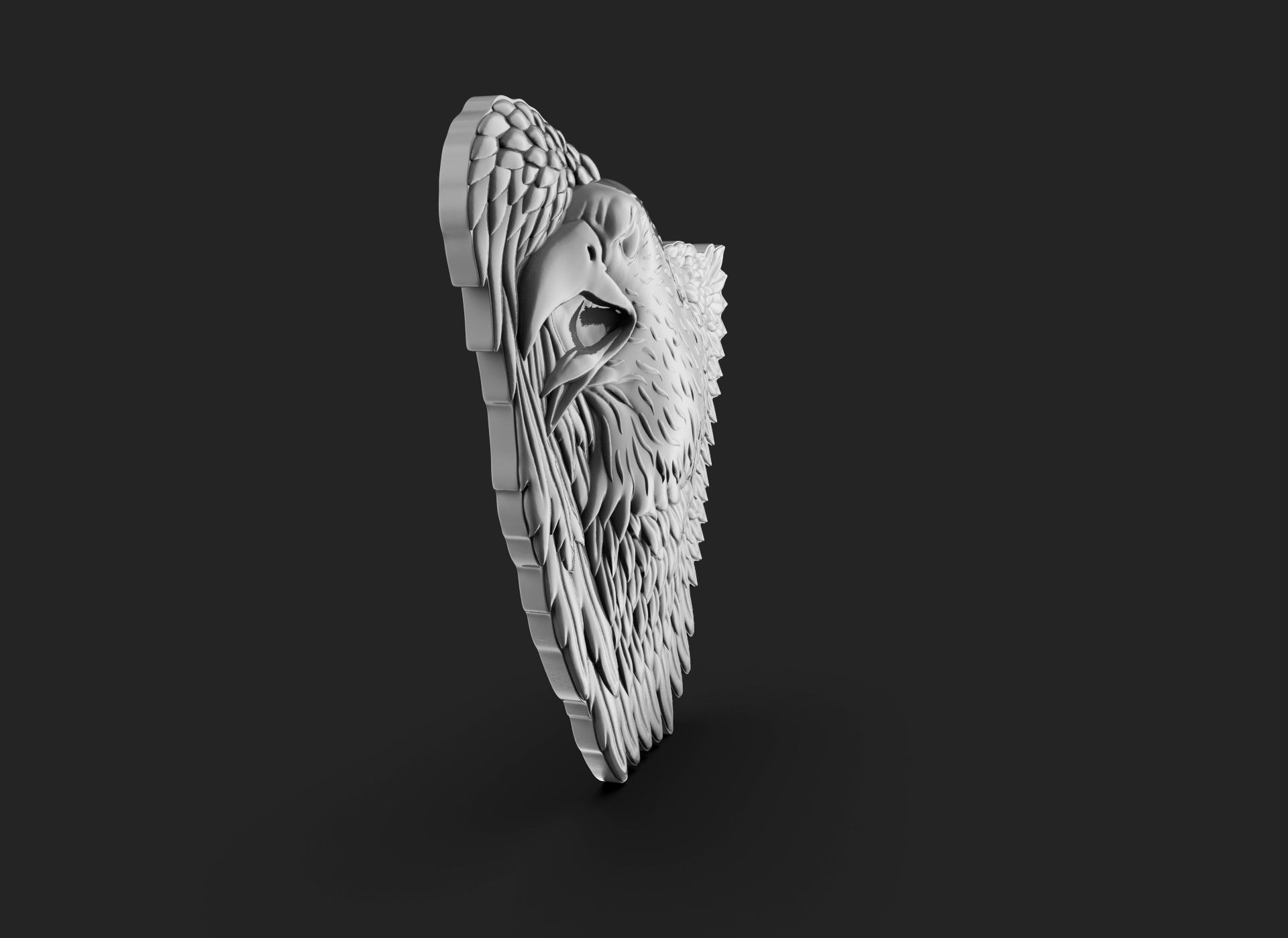 Eagle Bass Relief  3D print model_3