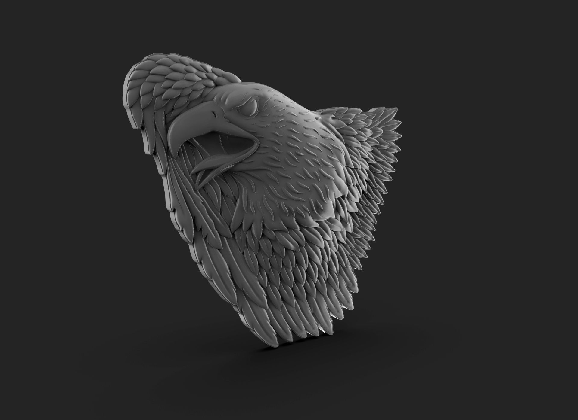 Eagle Bass Relief  3D print model_8