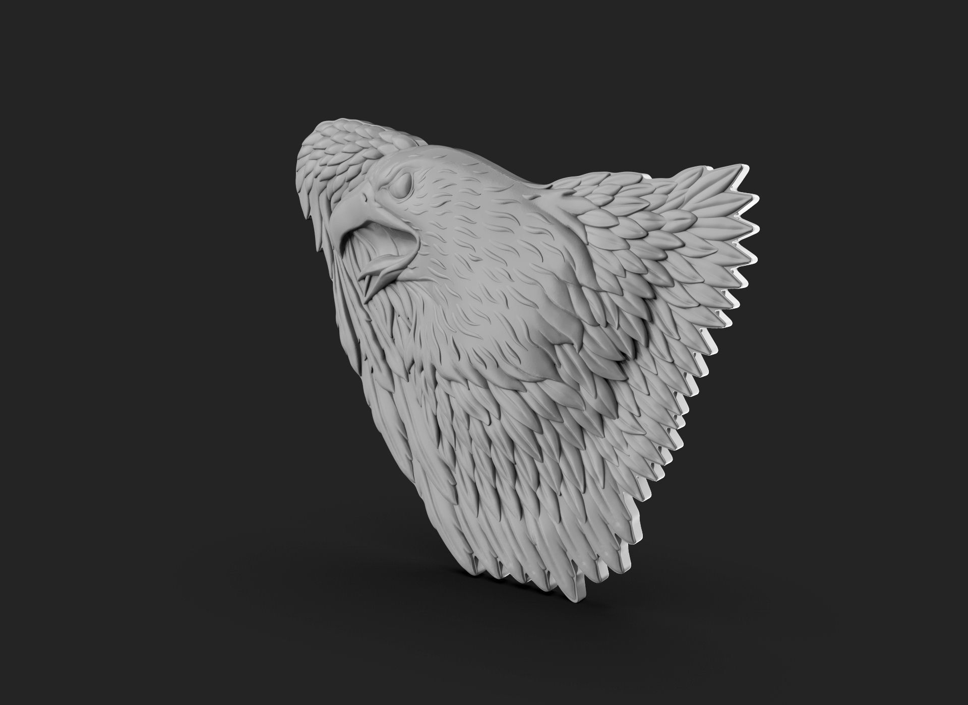 Eagle Bass Relief  3D print model_16