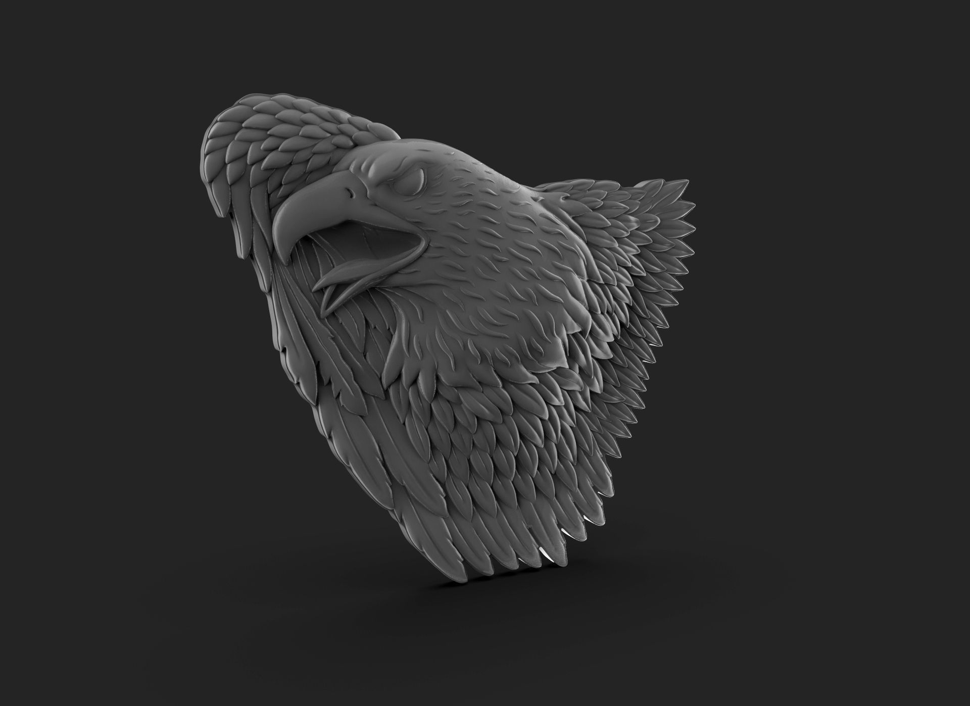 Eagle Bass Relief  3D print model_9