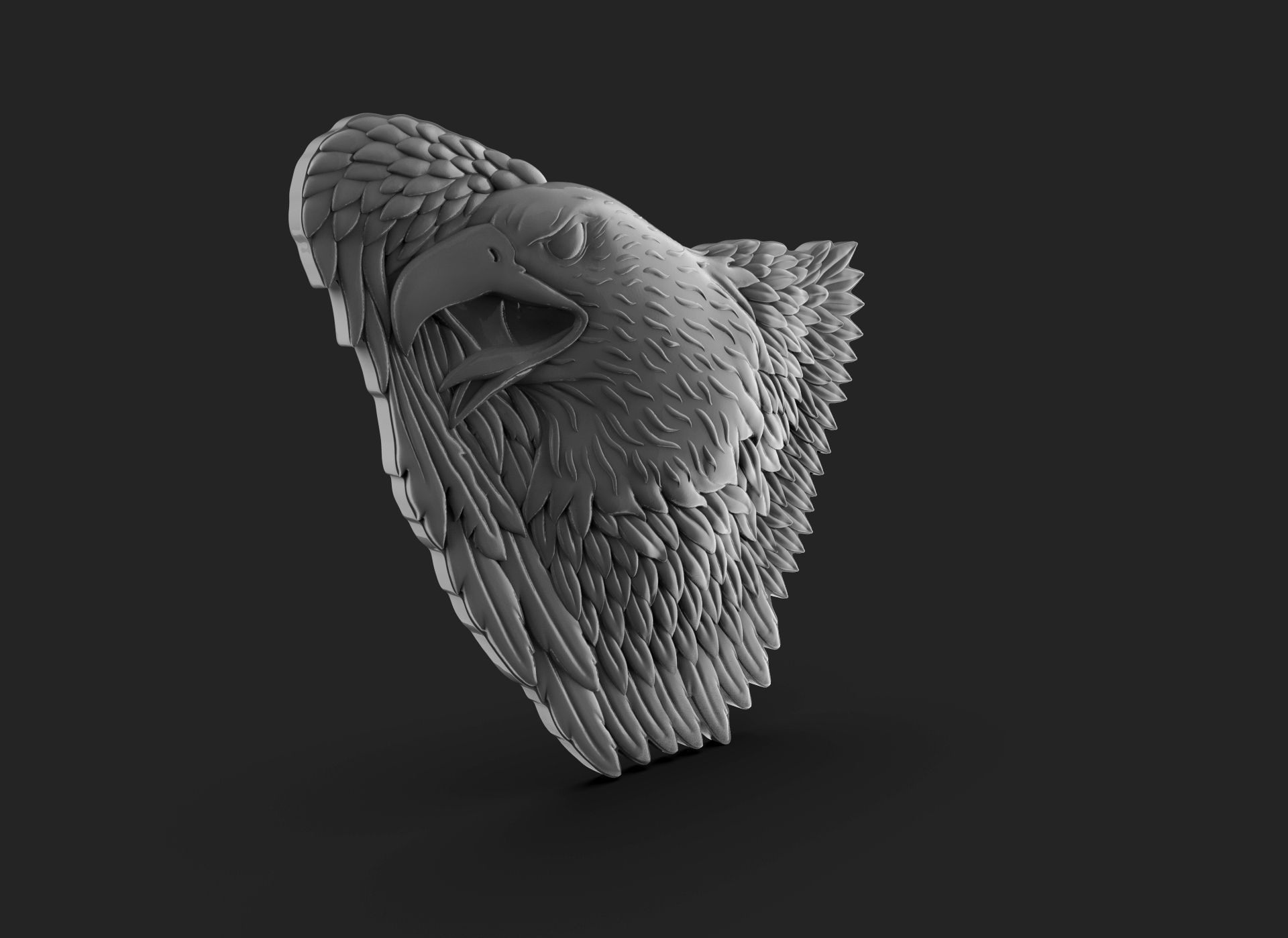 Eagle Bass Relief  3D print model_7