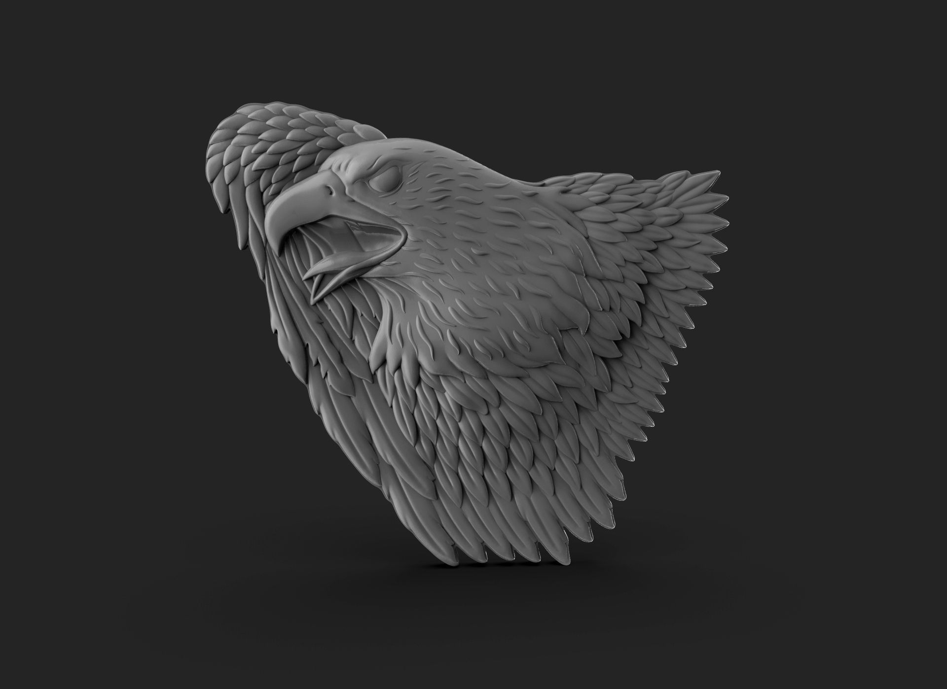 Eagle Bass Relief  3D print model_12