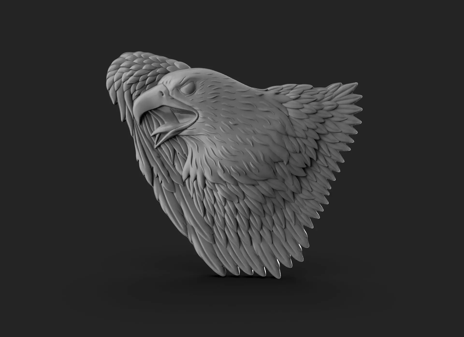 Eagle Bass Relief  3D print model_0