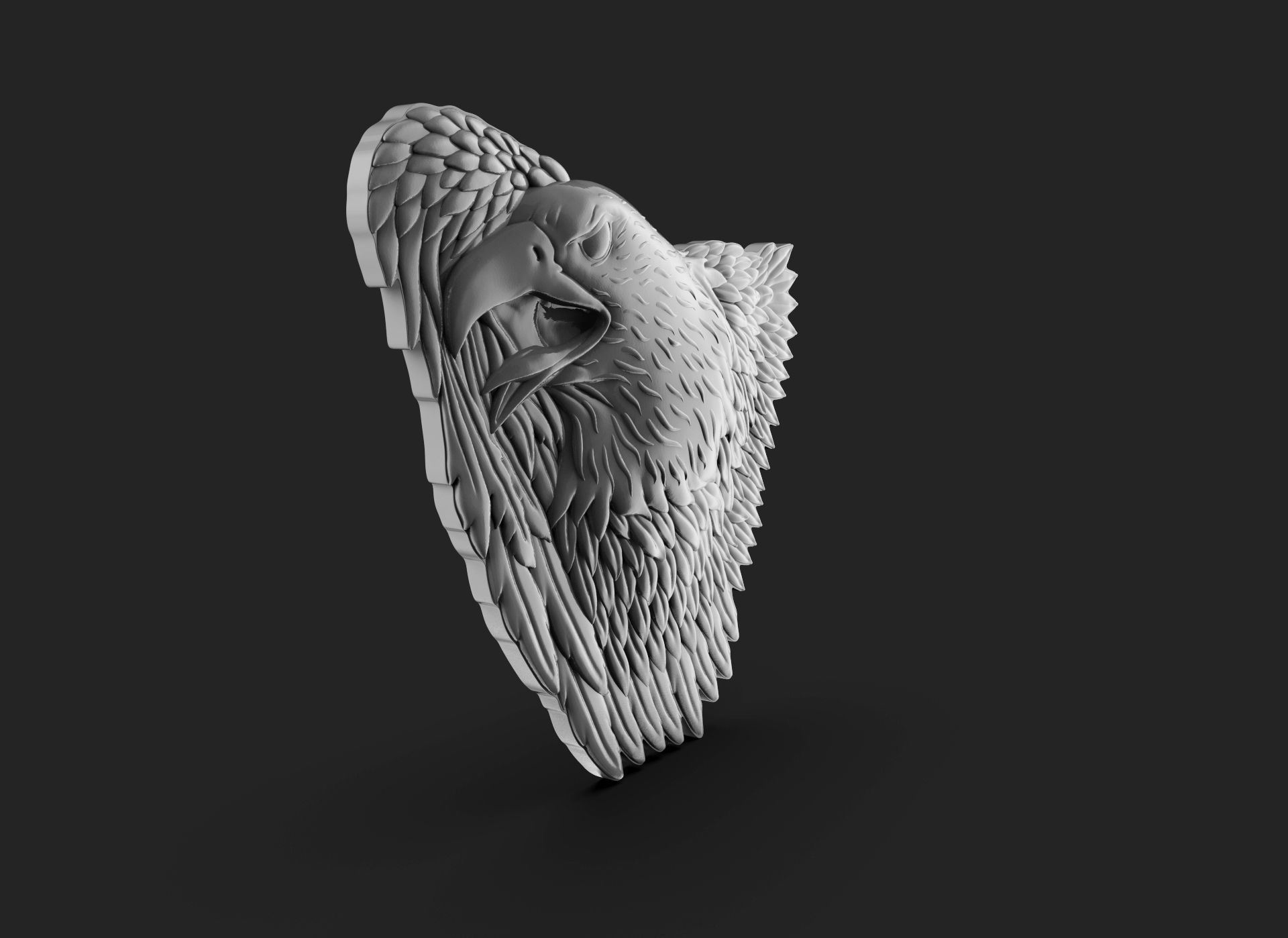 Eagle Bass Relief  3D print model_5