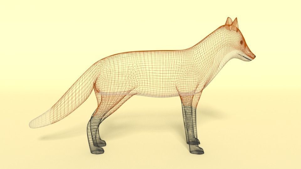 Cartoon Fox 3D model_13