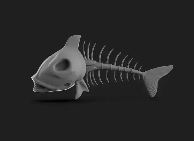 Fish Skelton 3D print model