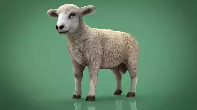 SHEEP Low-poly 3D model