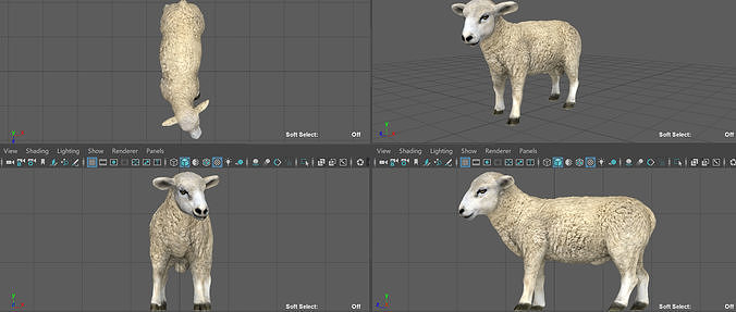 SHEEP Low-poly 3D model 7