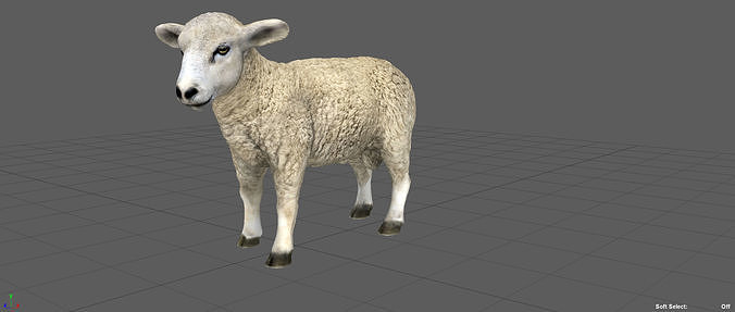 SHEEP Low-poly 3D model 4