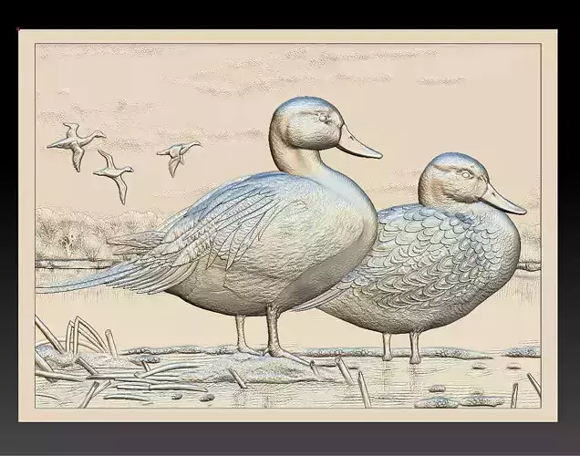 Ducks on the river - relief - 2017