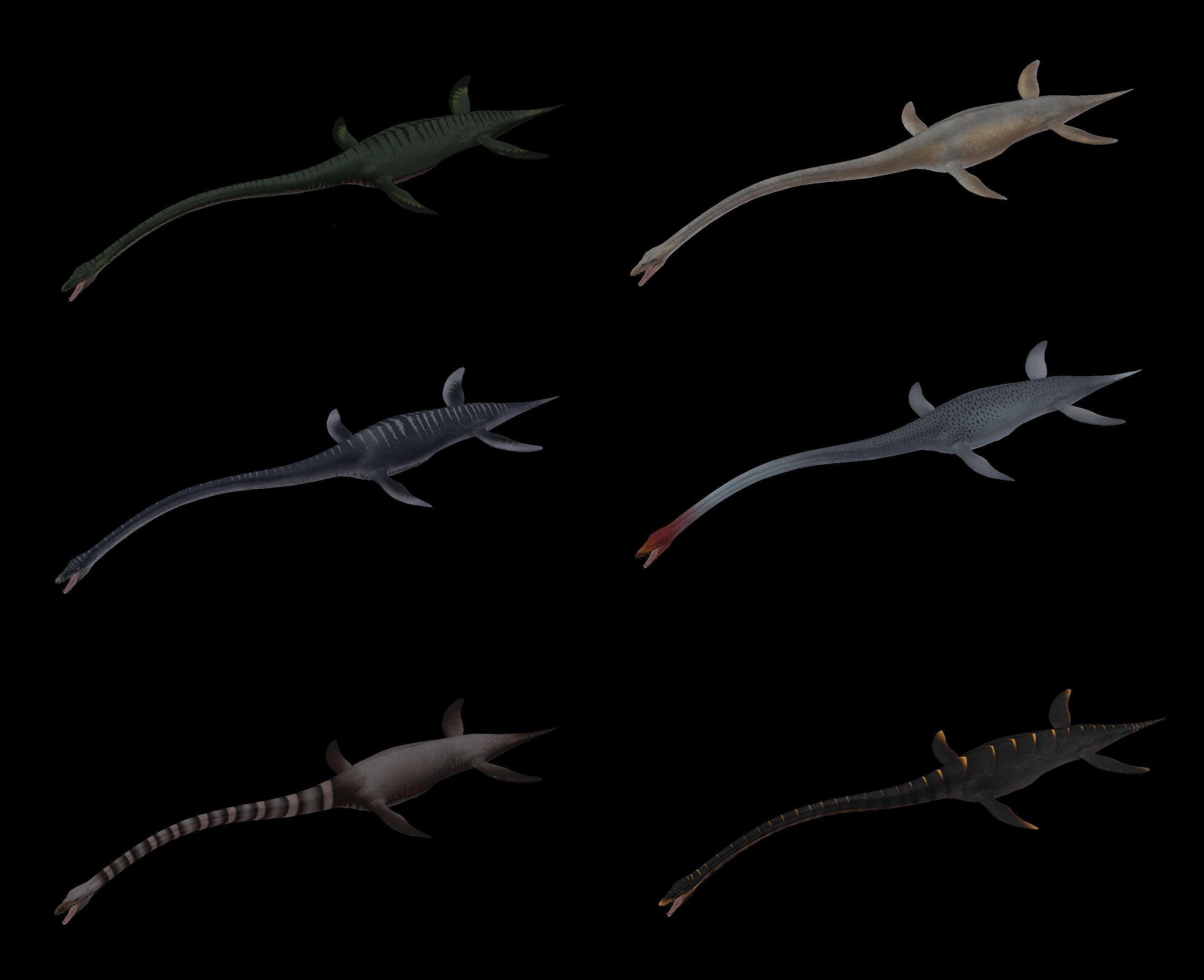 Elasmosaurus dinosaur Low-poly 3D model_3