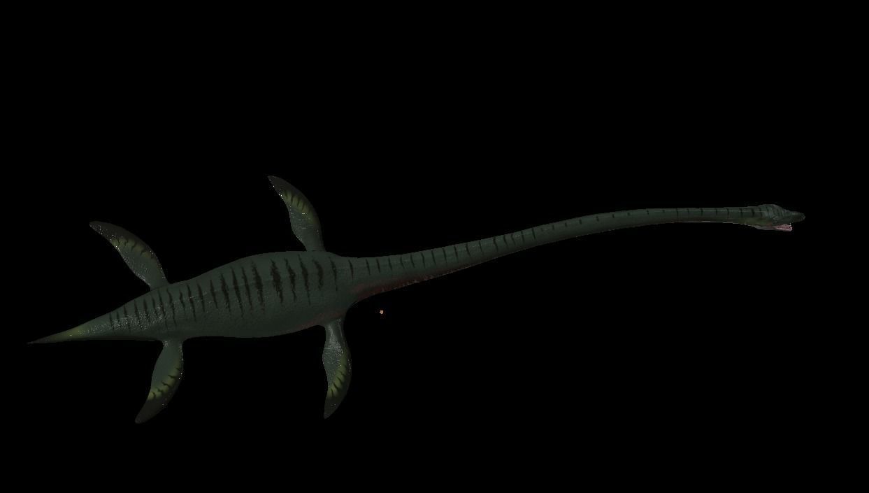 Elasmosaurus dinosaur Low-poly 3D model_4